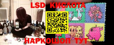 СК Славгород