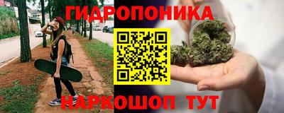СК Славгород