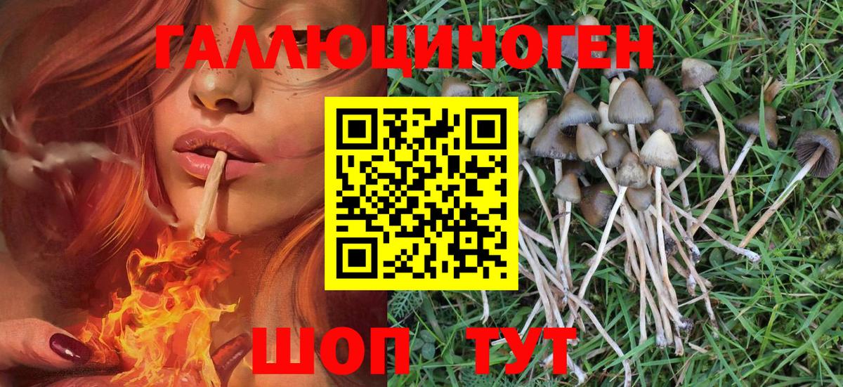 Новоалександровск  сколько стоит  Галлюциногенные грибы MAGIC MUSHROOMS  Вход с VPN  Псилоцибиновые грибы мухоморы 