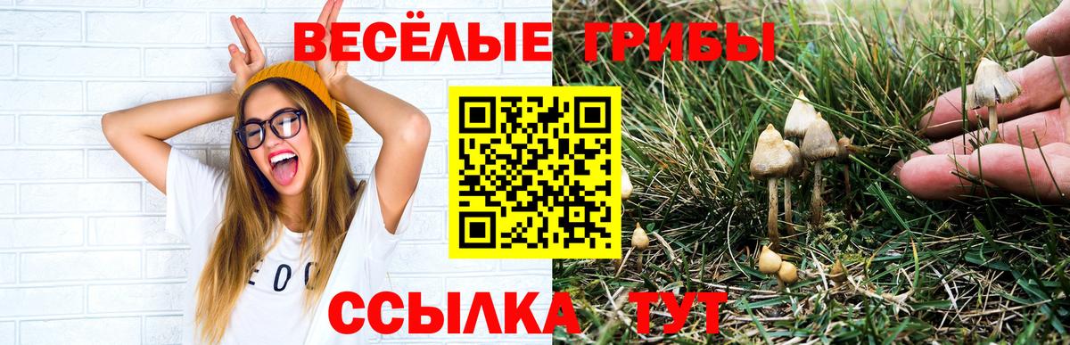 Галлюциногенные грибы MAGIC MUSHROOMS Новоалександровск